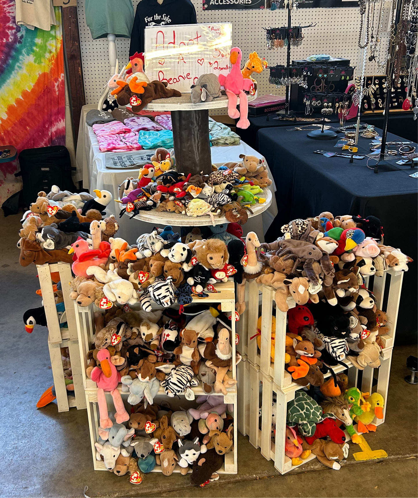 Adopt a *Surprise* Beanie Baby!